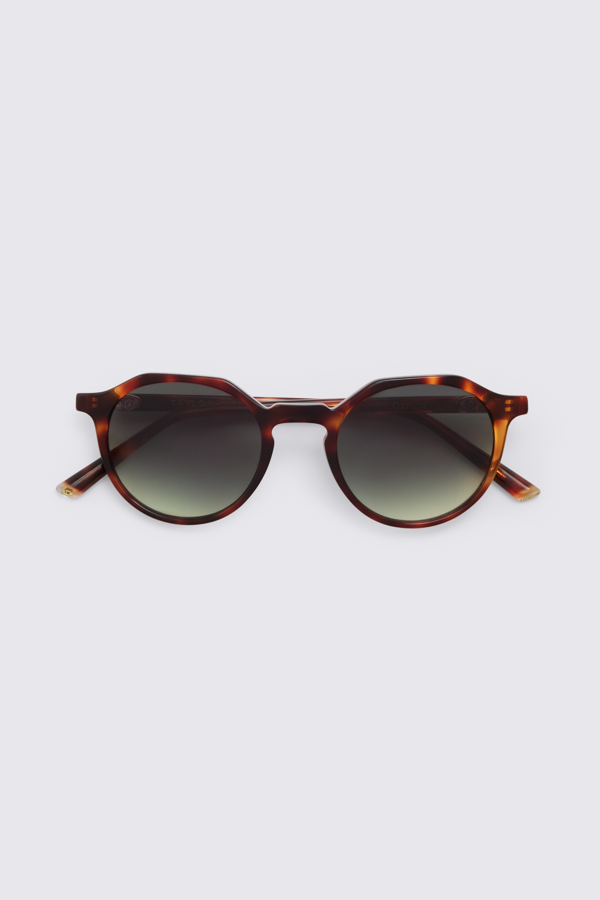 Tortoise Oxford Sunglasses